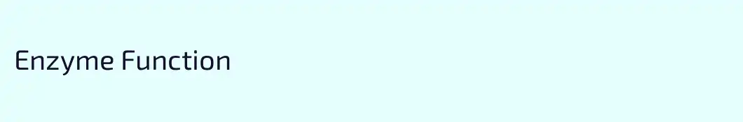 Enzyme Function